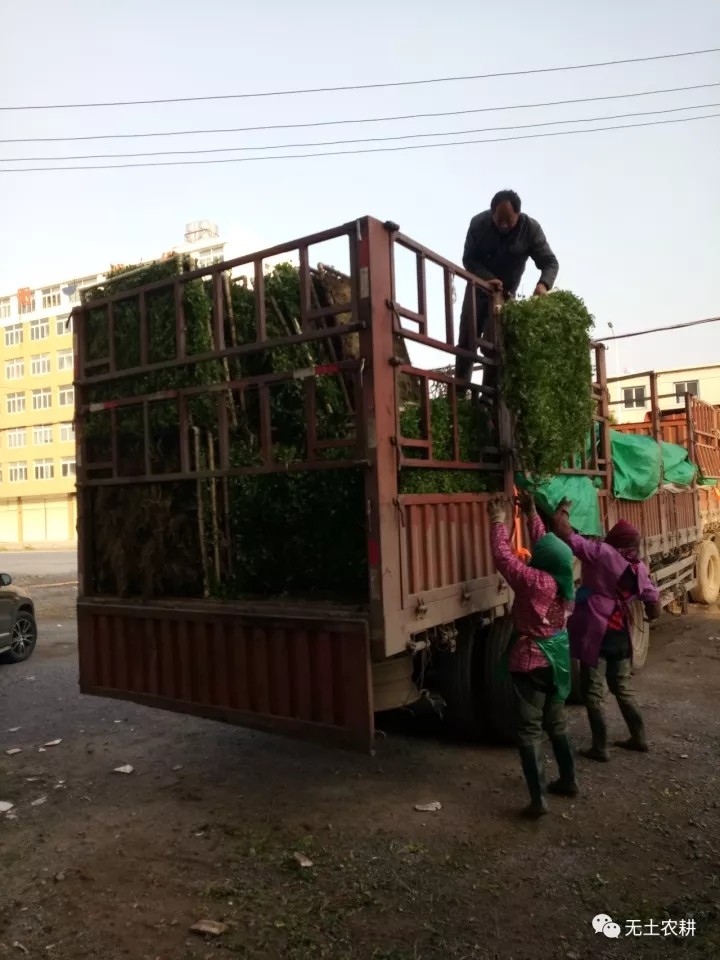 20171201223046794679.jpg