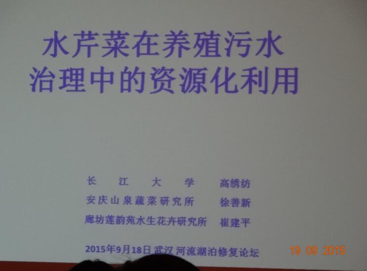 QQ截图20200111093937.jpg