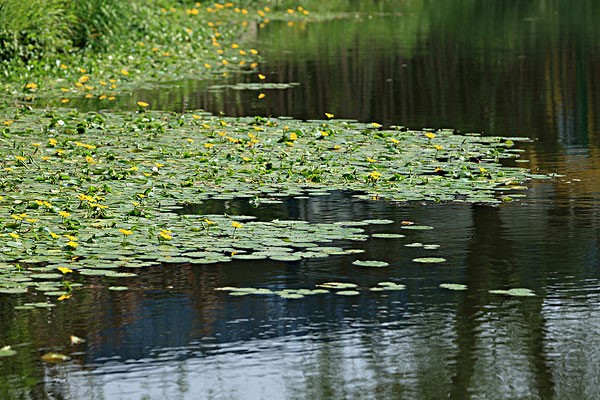QJ6168802024.jpg