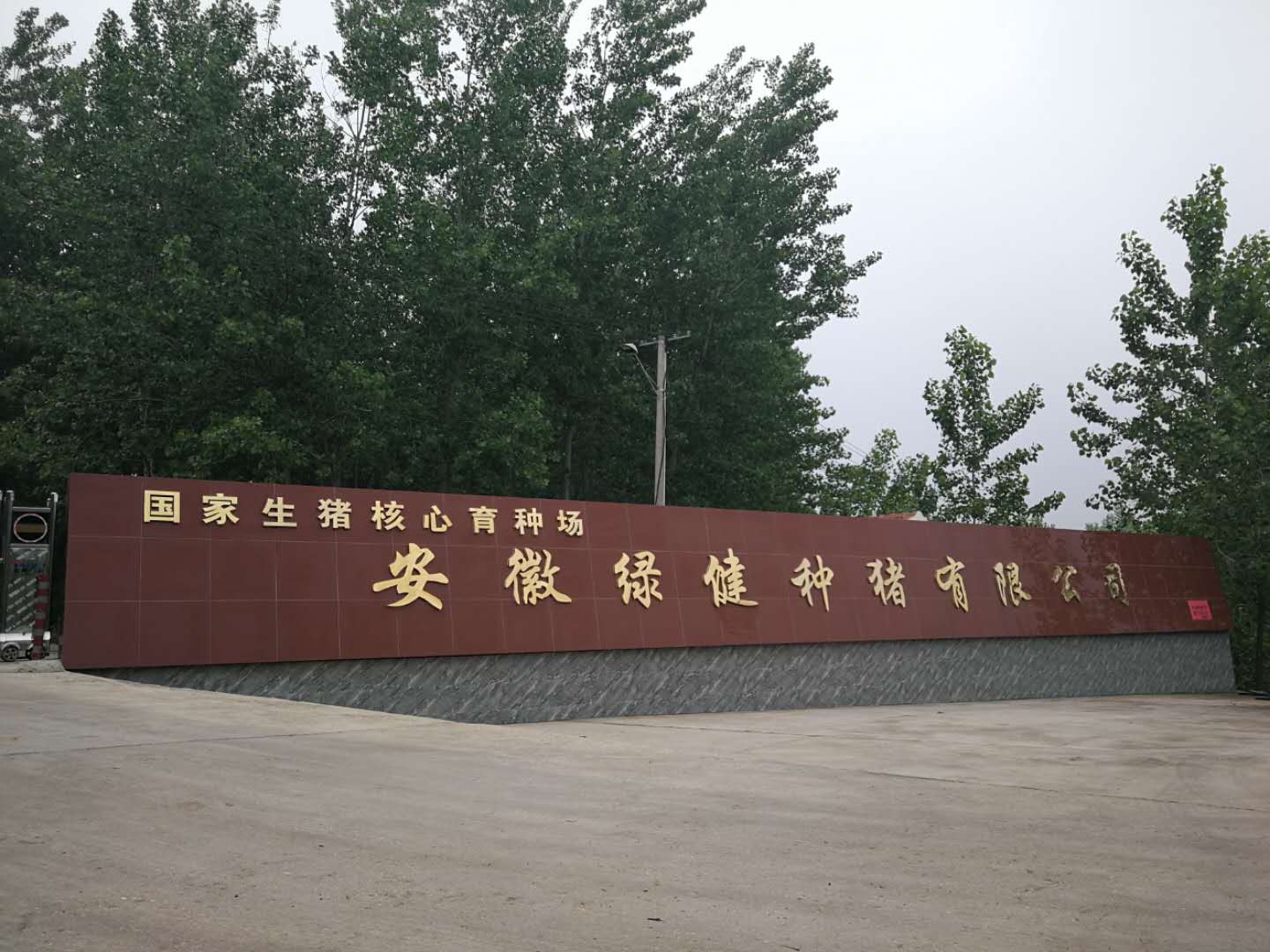 20200613105236775949.jpg