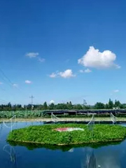 公司简介